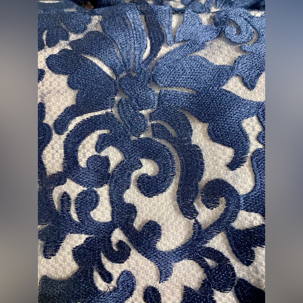 Navy Blue and Beige Lace Dress - Picture 3 of 5